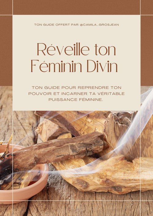 Ton Guide gratuit